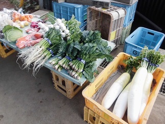 2015-01-25-m-9.jpg