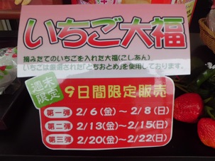 2015-02-08-km-4.jpg