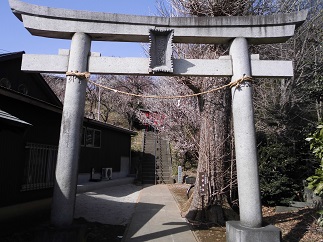 2015-02-08-h-3.jpg