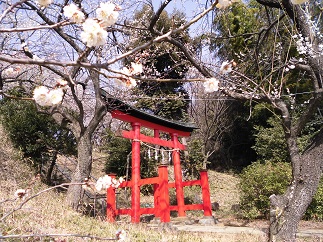 2015-02-08-h-4.jpg
