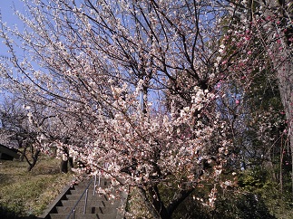 2015-02-08-h-5.jpg