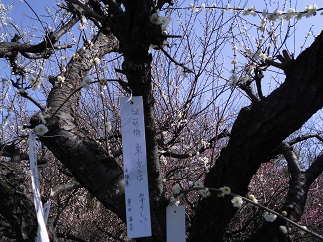 2015-02-08-h-12.jpg