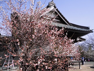 2015-02-08-h-14.jpg