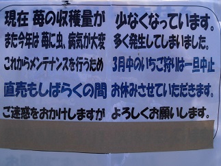 2015-03-22-y-51.jpg