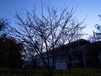 2015-03-25-t-11.jpg