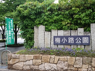 2015-05-04-2.jpg