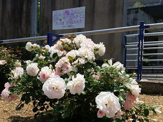 2015-05-17-r-3.jpg