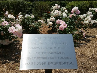 2015-05-17-r-4.jpg