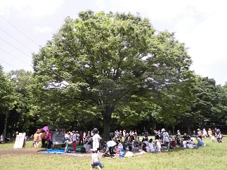 2015-05-20-af-6.jpg