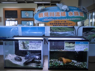 2015-07-20-t-3.jpg
