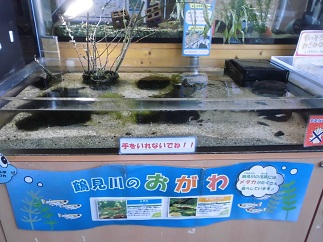 2015-07-20-t-7.jpg