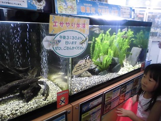 2015-07-20-t-21.jpg