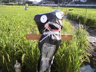2015-09-05-k-5.jpg