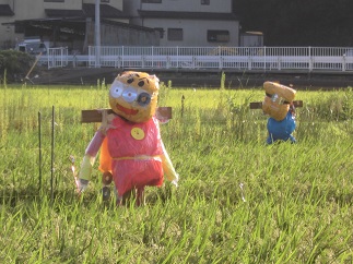 2015-09-05-k-6.jpg