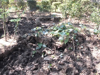 2015-09-21-N-18.jpg