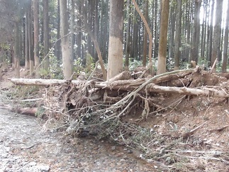 2015-09-21-N-26.jpg