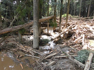 2015-09-21-n-29.jpg