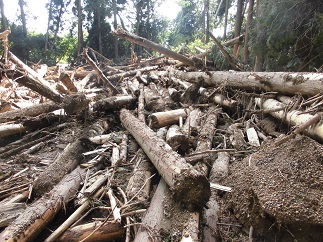 2015-09-21-n-30.jpg