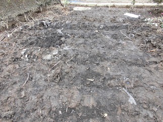 2015-09-21-n-35.jpg