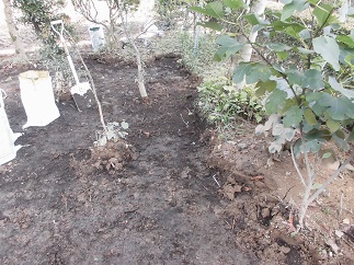 2015-09-21-n-36.jpg