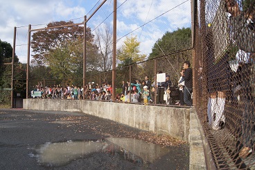 2015-11-19-h-10.jpg