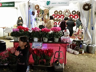 2015-12-04-c-13.jpg