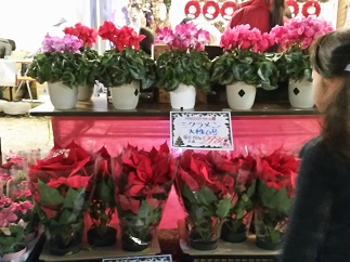 2015-12-04-c-14.jpg
