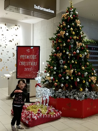 2015-12-04-p-18.jpg
