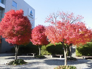 2015-12-09-tuv-2.jpg