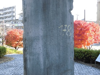 2015-12-09-tuv-8.jpg