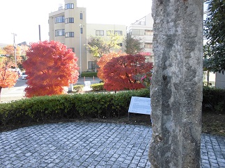 2015-12-09-tuv-9.jpg
