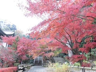 2015-12-10-s-2-2.jpg