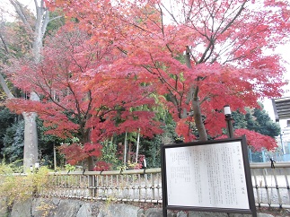 2015-12-10-s-3.jpg