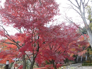 2015-12-10-s-4.jpg