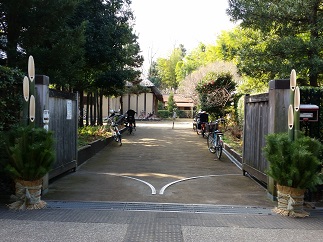 2016-01-07-m-13.jpg