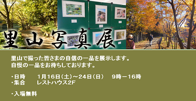 2016-01-17-st-0.png