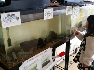 2016-01-17-st-9.jpg