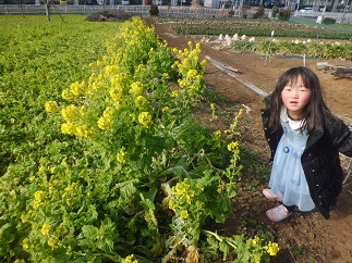 2016-02-07-k-3.jpg