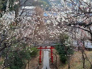 2016-02-20-h-10.jpg