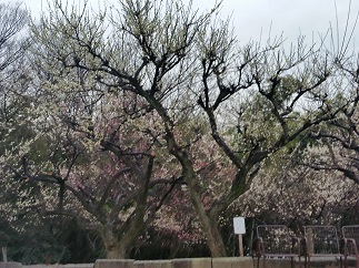 2016-02-20-h-13.jpg