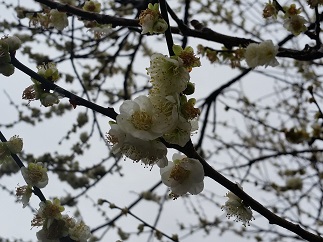 2016-02-20-h-14.jpg