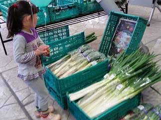 2016-03-05-ja-8.jpg