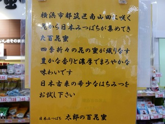 2016-03-05-ja-10.jpg