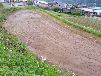 2016-04-24-k-22.jpg