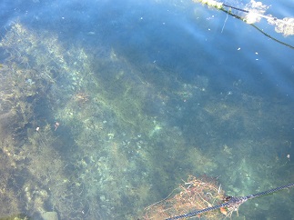 2016-05-05-B-2.jpg