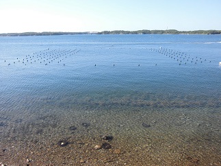 2016-05-05-B-3.jpg