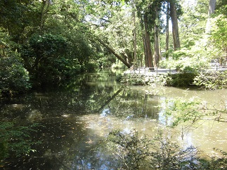2016-05-05-B-16.jpg