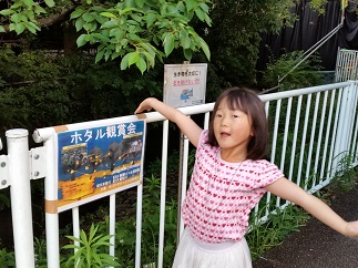 2016-06-05-h-6-2.jpg