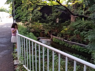 2016-06-05-h-7.jpg