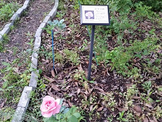 2016-06-05-h-9.jpg